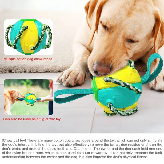 PELOTA FRESBEE PARA PERROS